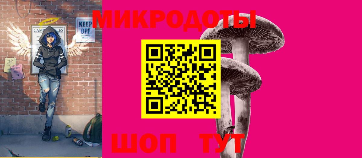 Псилоцибиновые грибы Psilocybe Урай